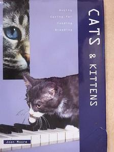 Joan Moore - Cats & Kittens [antikvár]