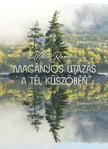 Viktor Remizov - Magányos utazás a tél küszöbén