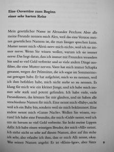 Jonathan Safran Foer - Alles ist erleuchtet [antikvár]