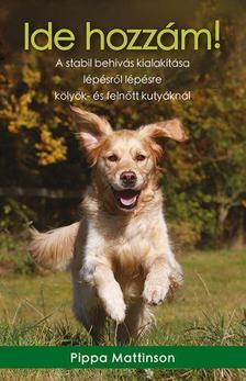 Pippa Mattinson - Ide hozzám! / A stabil behívás kialakítása lépésről lépésre kölyök- és felnőtt kutyáknál