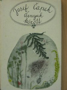 Josef Capek - Árnyak között [antikvár]