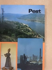 Balázs Gézáné - Pest [antikvár]