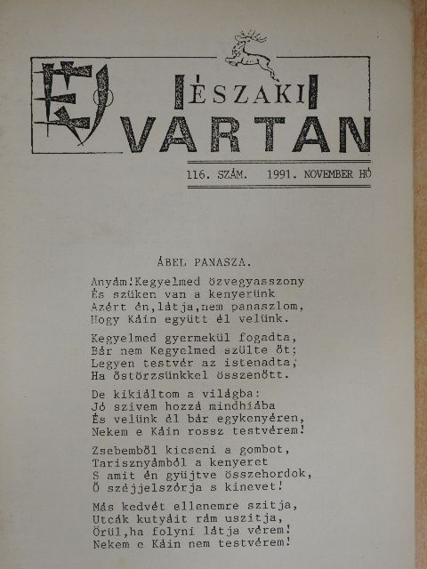 Ilon Gábor - Északi vártán 1991. november [antikvár]