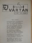 Ilon Gábor - Északi vártán 1991. november [antikvár]