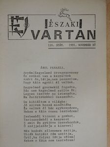 Ilon Gábor - Északi vártán 1991. november [antikvár]
