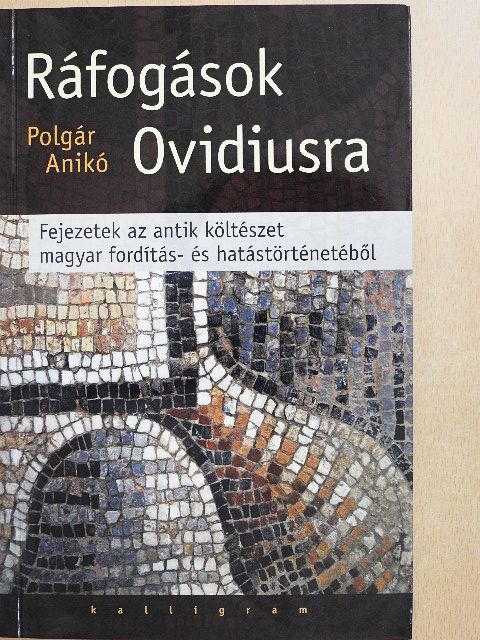 Polgár Anikó - Ráfogások Ovidiusra [antikvár]