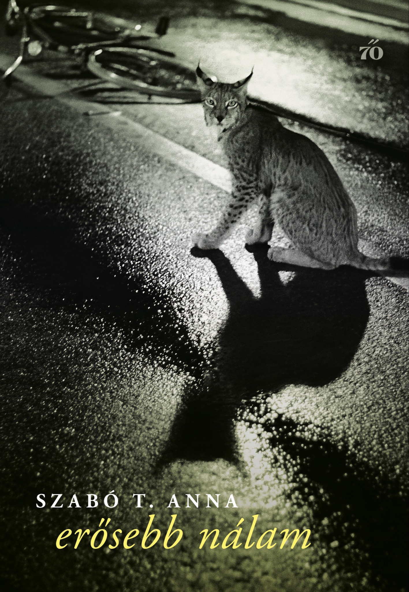 Szabó T. Anna - Erősebb nálam [eKönyv: epub, mobi]