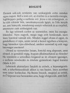 Joyce Meyer - Erőt minden napra [antikvár]