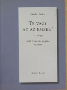 Sándor Endre - Te vagy az az ember! [antikvár]