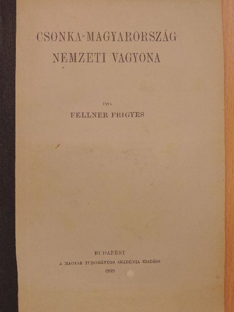 Fellner Frigyes - Csonka-Magyarország nemzeti vagyona [antikvár]