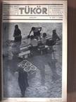 Cs. Szabó László - Tükör 1938. (nem teljes évfolyam) [antikvár]