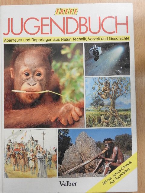 Babette Berg - Treff Jugendbuch '94 [antikvár]