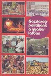 Laczó Ferenc (szerk.) - Gazdaságpolitikánk a gyakorlatban [antikvár]