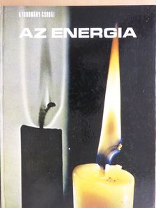 Mitchell Wilson - Az energia [antikvár]