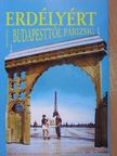 Okos Márton - Erdélyért Budapesttől Párizsig [antikvár]