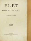 Ádám Éva - Élet 1913. július-december (fél évfolyam) [antikvár]