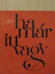 Várady Szabolcs - Ha már itt vagy [antikvár]
