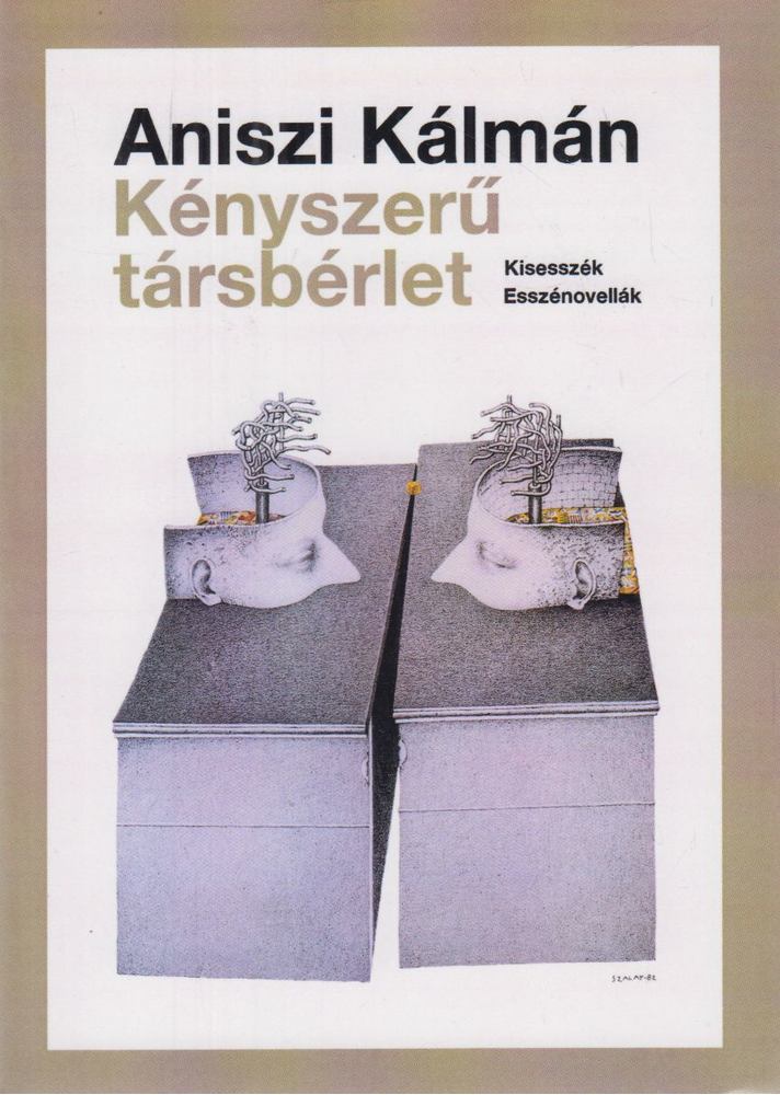 Aniszi Kálmán - Kényszerű társbérlet [antikvár]