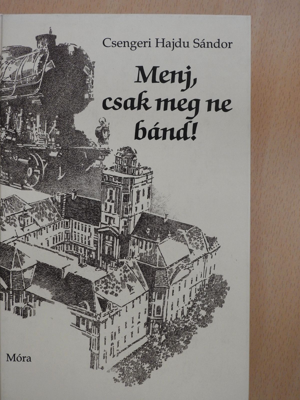 Csengeri Hajdu Sándor - Menj, csak meg ne bánd! (dedikált példány) [antikvár]
