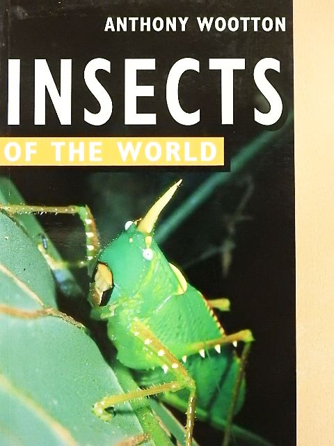 Anthony Wootton - Insects of the World [antikvár]