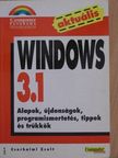 Cserhalmi Zsolt - Windows 3.1 [antikvár]