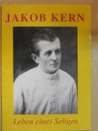 Hermann-Josef Weidinger - Jakob Kern [antikvár]