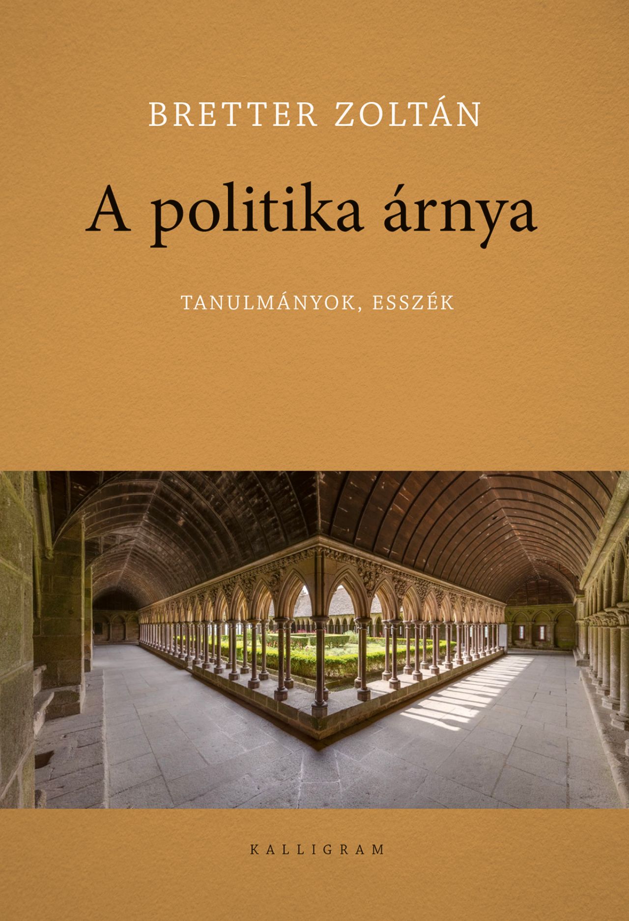 Bretter Zoltán - A politika árnya