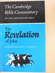 T. F. Glasson - The Revelation of John [antikvár]