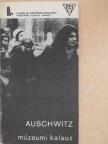 Kazimierz Smolen - Auschwitz 1940-1945 [antikvár]