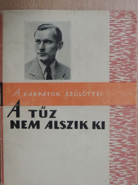Rotman Miklós - A tűz nem alszik ki [antikvár]