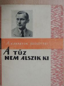 Rotman Miklós - A tűz nem alszik ki [antikvár]