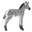 MOJO Zebra nőstény M