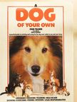 Joan Palmer - A Dog of your Own [antikvár]