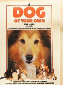 Joan Palmer - A Dog of your Own [antikvár]
