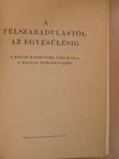 A felszabadulástól az egyesülésig [antikvár]