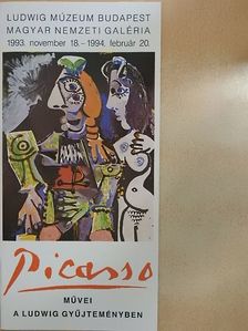 Picasso művei a Ludwig gyűjteményben [antikvár]