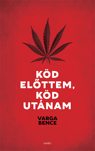 Varga Bence - Köd előttem, köd utánam [eKönyv: epub, mobi]