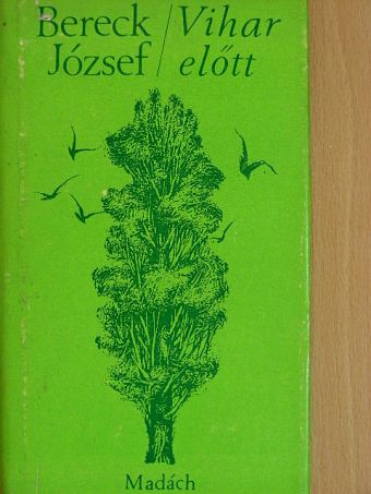 Bereck József - Vihar előtt [antikvár]
