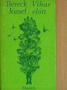 Bereck József - Vihar előtt [antikvár]