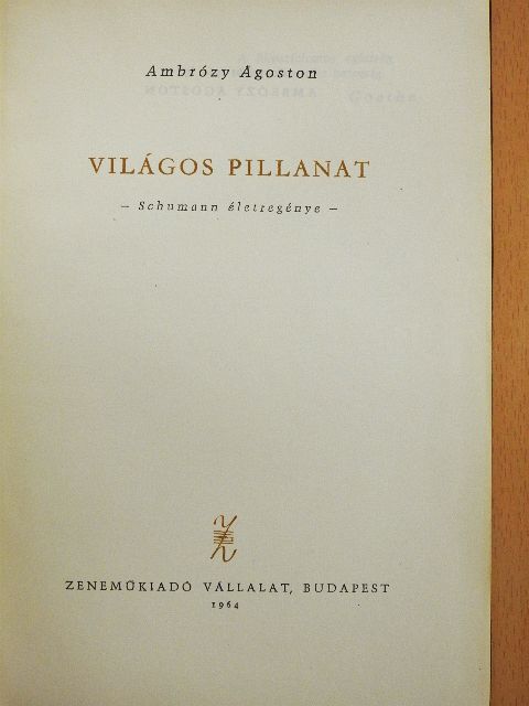 Ambrózy Ágoston - Világos pillanat [antikvár]