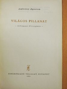 Ambrózy Ágoston - Világos pillanat [antikvár]