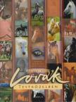 Novotni Péter - Lovak testközelben [antikvár]