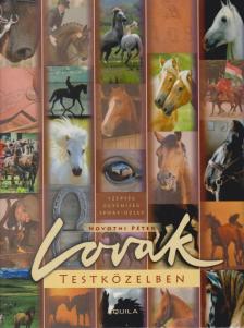Novotni Péter - Lovak testközelben [antikvár]