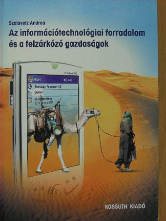 Szalavetz Andrea - Az információtechnológiai forradalom és a felzárkózó gazdaságok [antikvár]