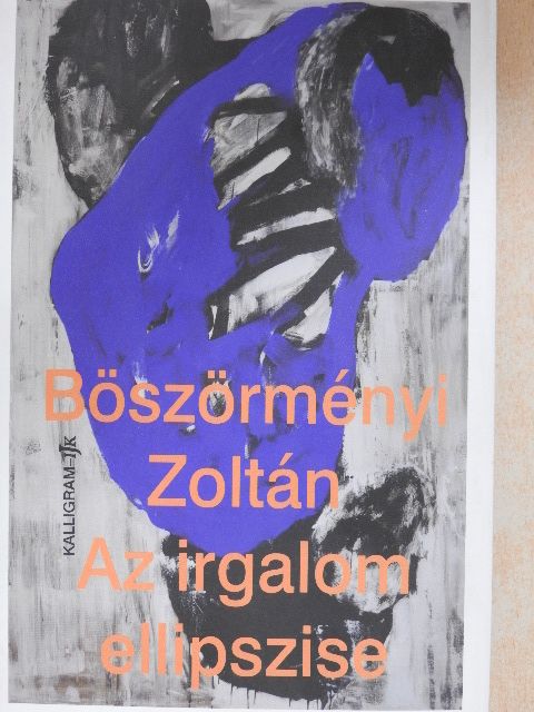 Böszörményi Zoltán - Az irgalom ellipszise [antikvár]