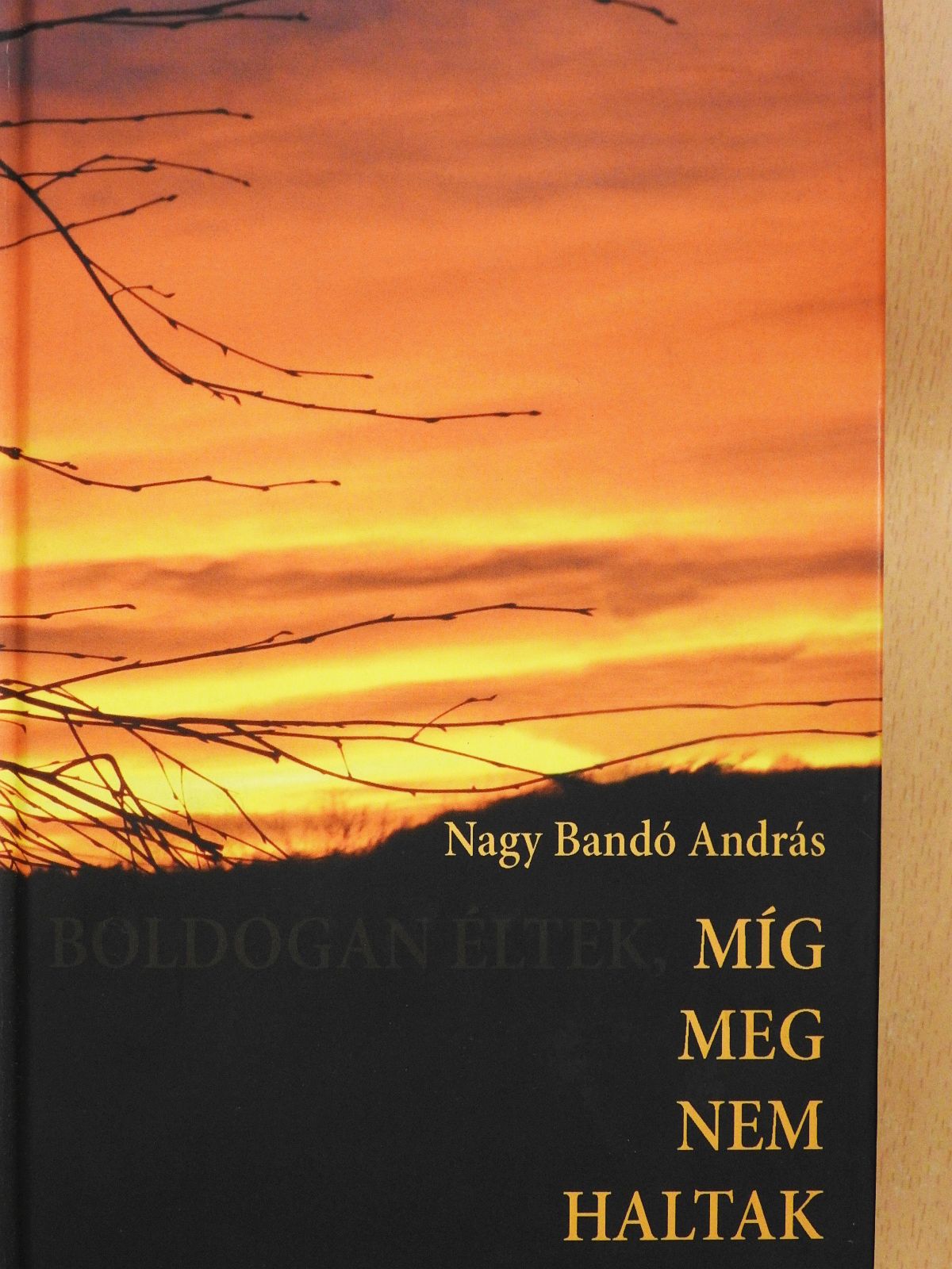 Nagy Bandó András - Míg meg nem haltak (dedikált példány) [antikvár]