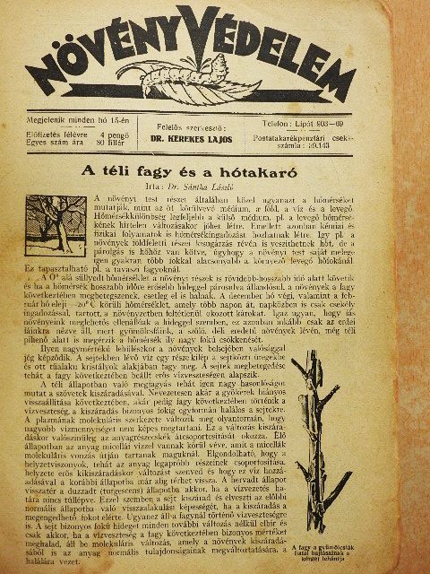 Dr. Sántha László - Növényvédelem 1927-1928. (nem teljes évfolyam)/Kertészet 1927-1928. (nem teljes évfolyam) [antikvár]