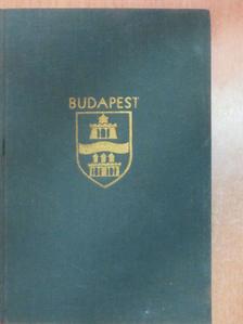 Budapesti képeskönyv [antikvár]