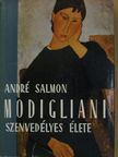 André Salmon - Modigliani szenvedélyes élete [antikvár]