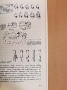 Kontra György - Az élet tudománya [antikvár]